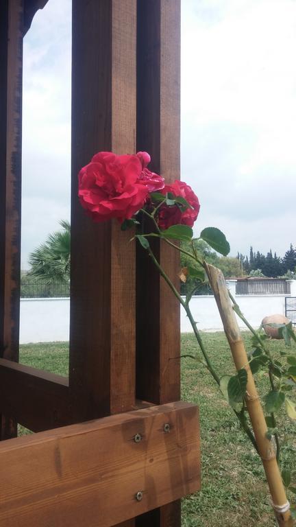 Liberta Guesthouse Seferihisar Buitenkant foto